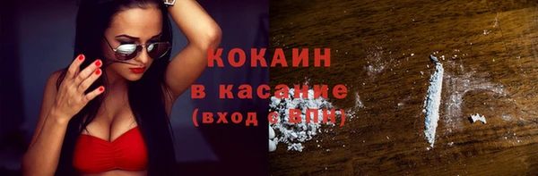 прущие крисы Бородино