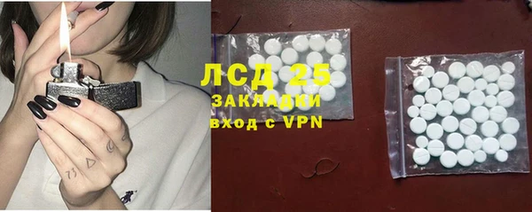 прущие крисы Бородино