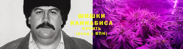 ГАЛЛЮЦИНОГЕННЫЕ ГРИБЫ Бугульма