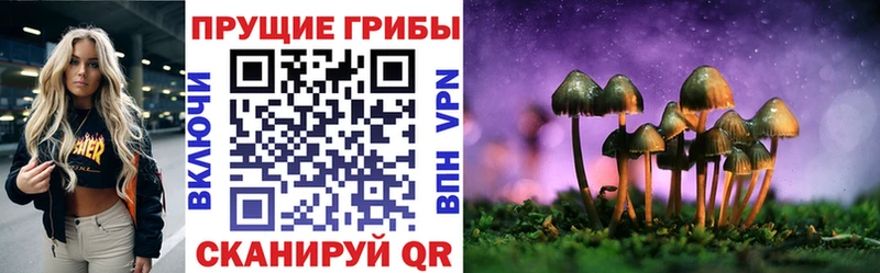 mega маркетплейс  Надым  Галлюциногенные грибы Cubensis 